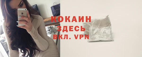 стафф Алзамай